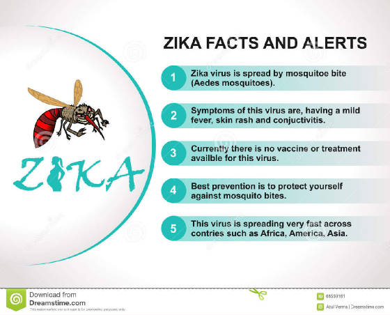 zika.jpg