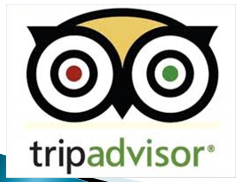 tripadvisor.jpg